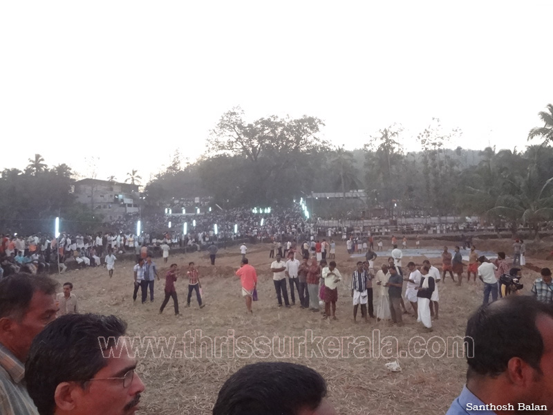 uthralikavu-pooram-2012 (1)